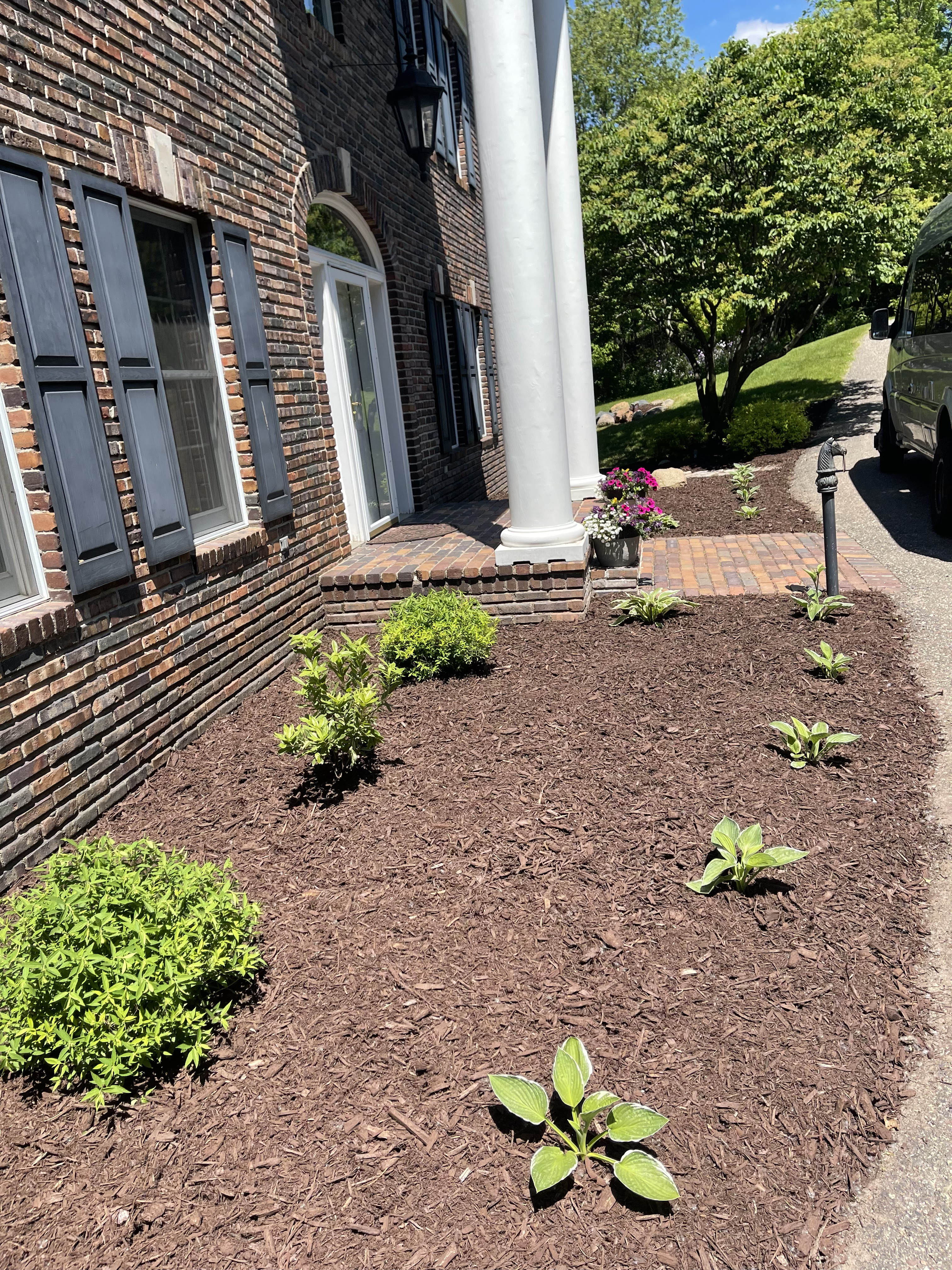 After Mulch Project