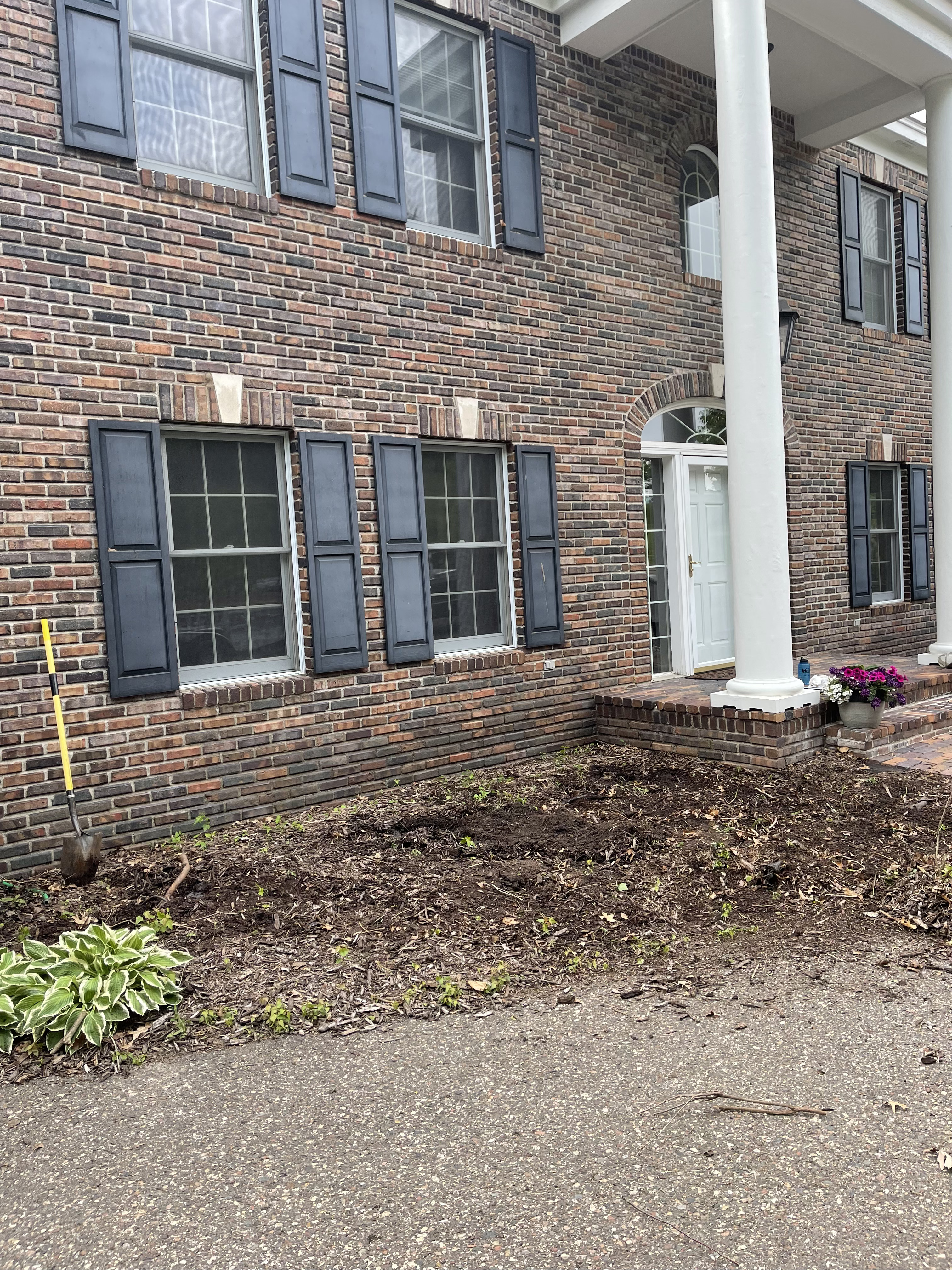 Before Mulch Project