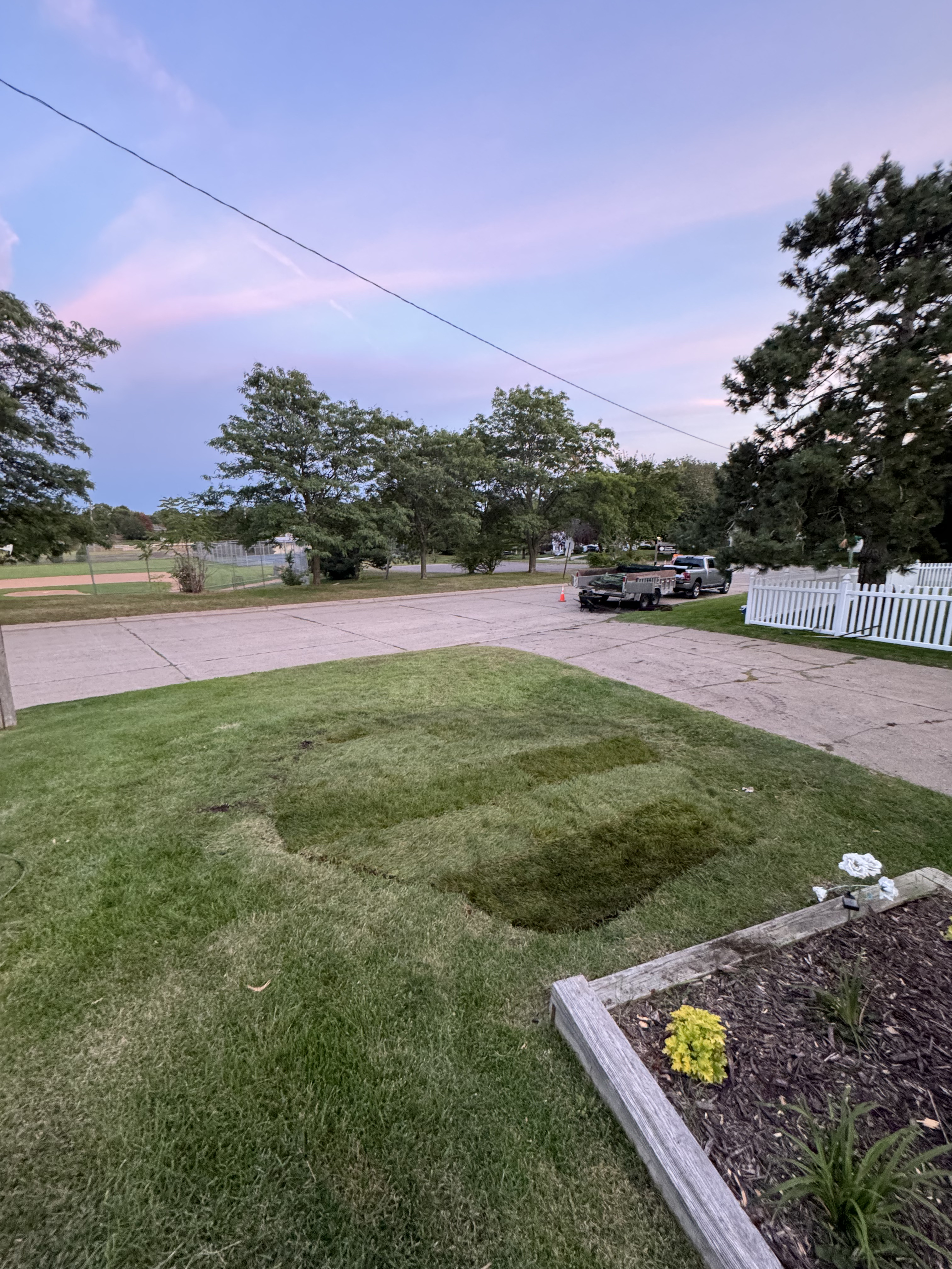 After Tree Removal